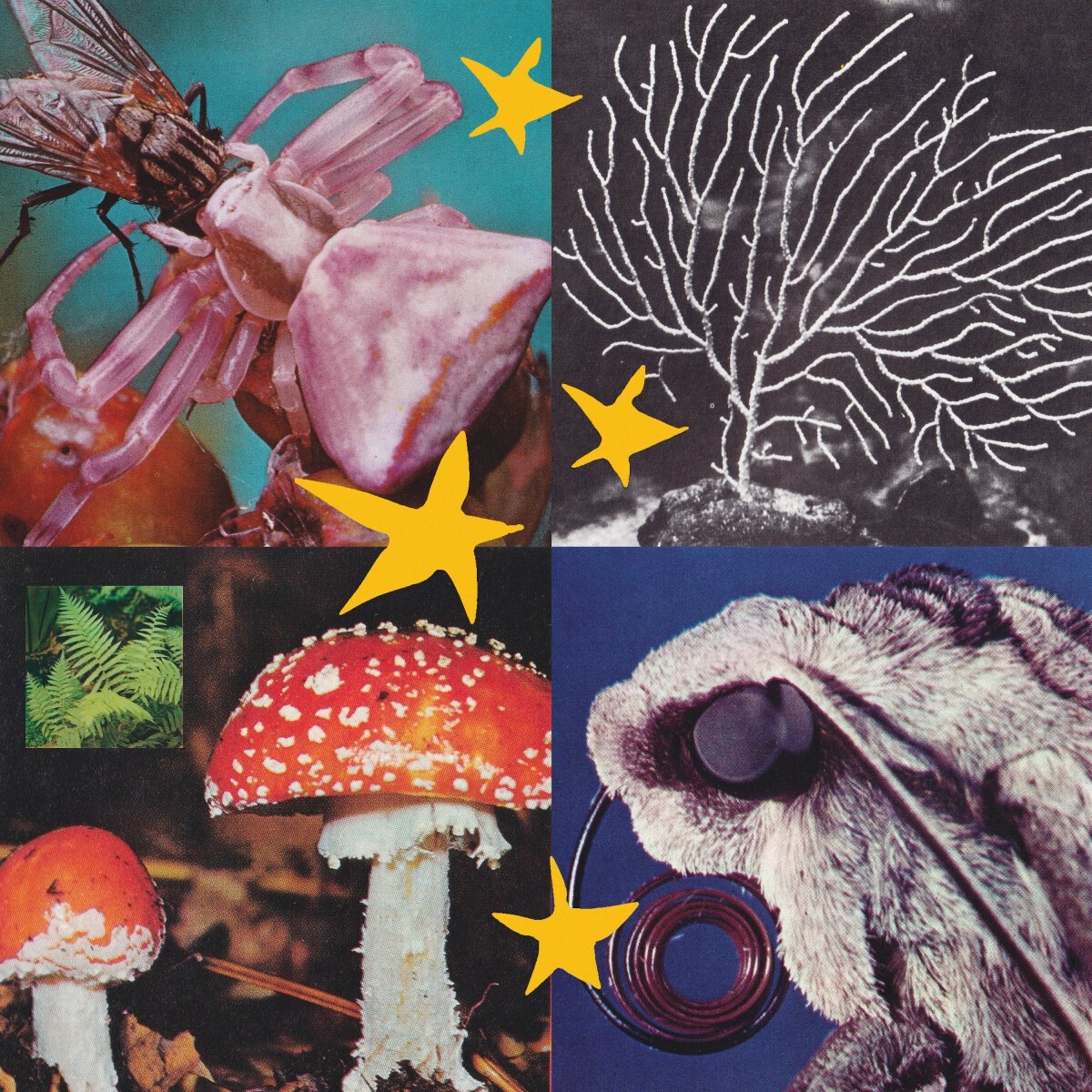 Afbeelding van Various Artists - All Things Considered Vol.2