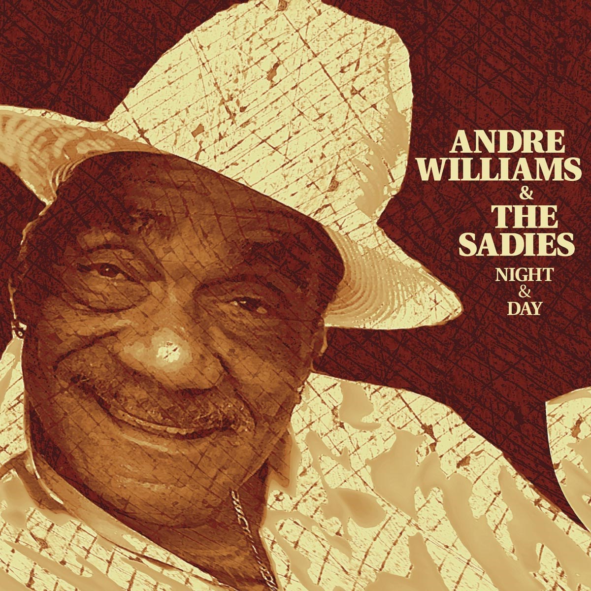 Afbeelding van Andre Williams & The Sadies - Night And Day