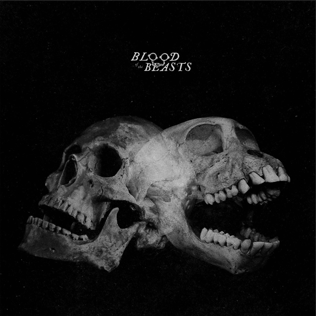 Afbeelding van Blood Of The Beasts