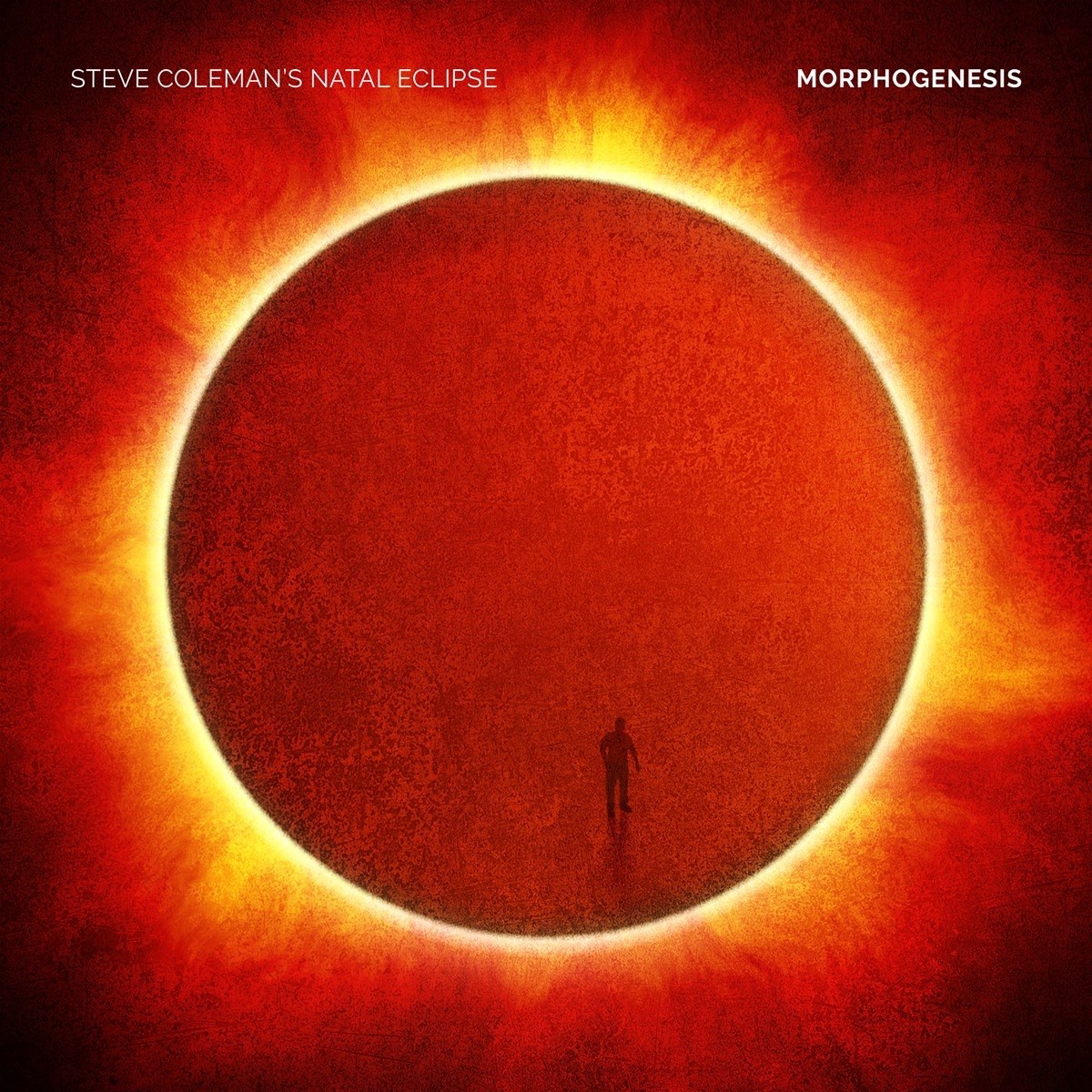 Afbeelding van Steve Coleman's Natal Eclipse - Morphogenesis