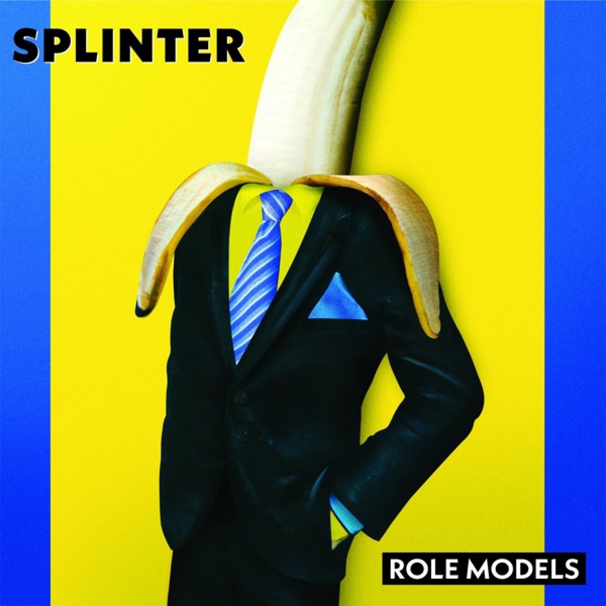 Afbeelding van Splinter - Role Models