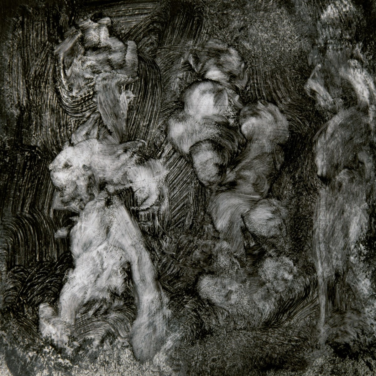 Afbeelding van Mark Lanegan & Duke Garwood - With Animals