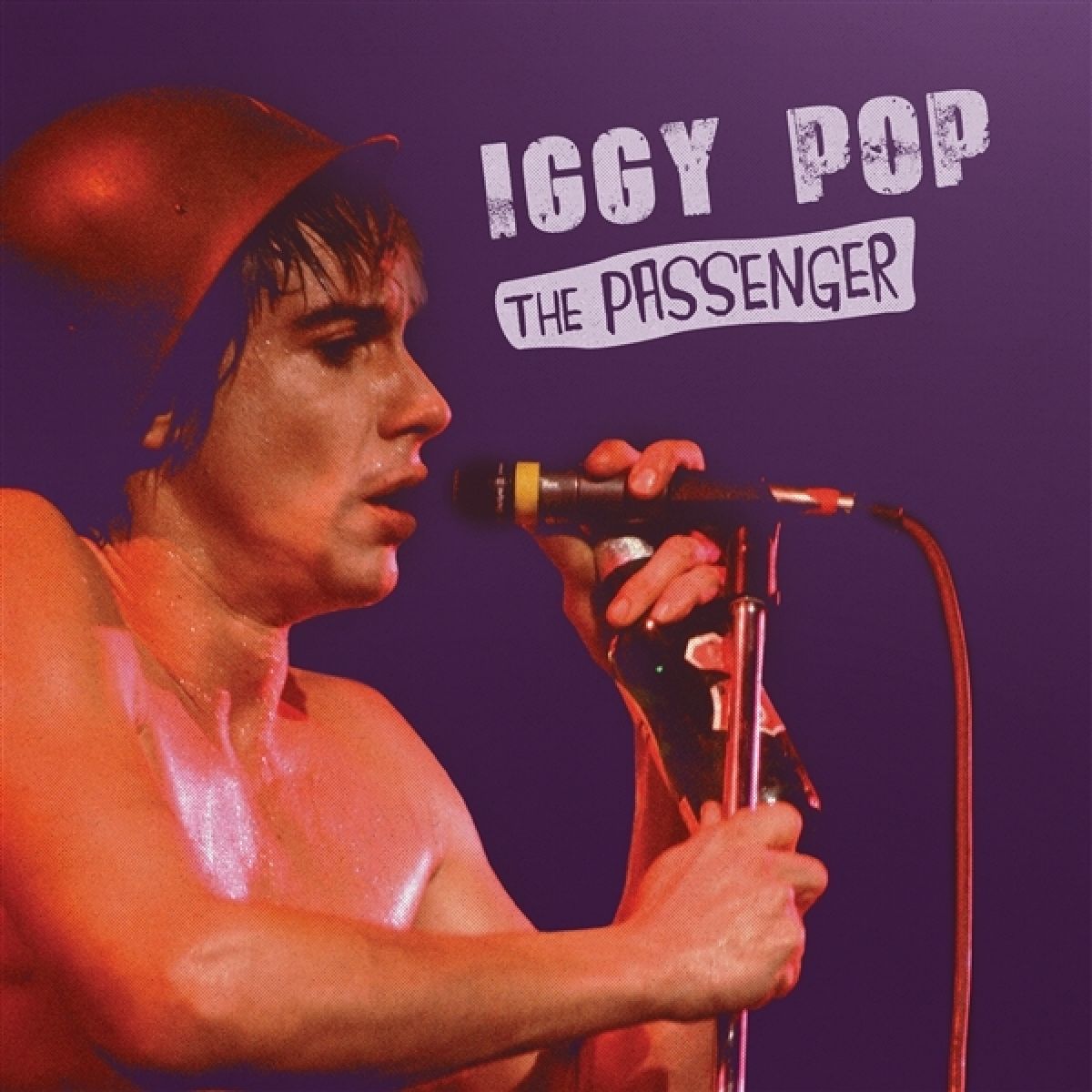 Afbeelding van Iggy Pop - The Passenger