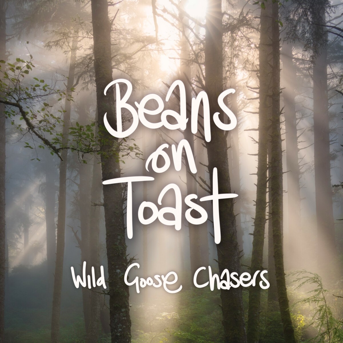 Afbeelding van Beans On Toast - Wild Goose Chasers