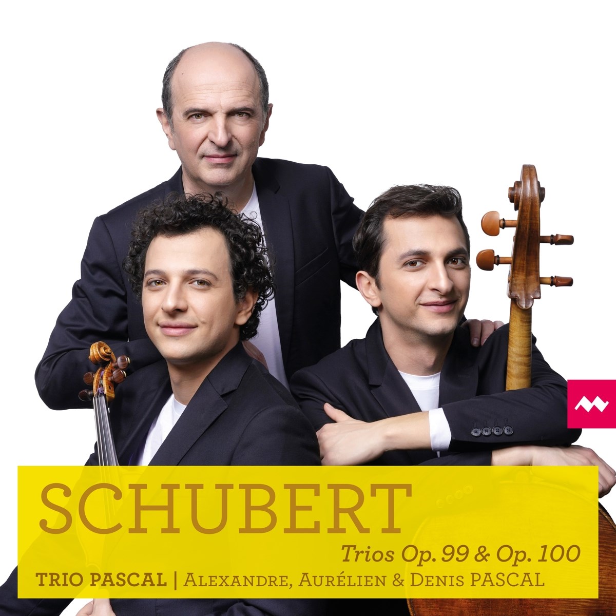 Afbeelding van Denis Pascal, Aurélien Pascal & Alexandre Pascal - Schubert: Trios Op. 99 & Op. 100