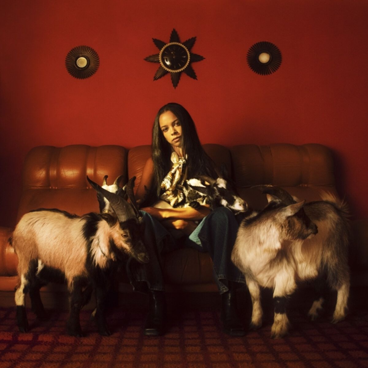 Afbeelding van Tsha - Capricorn Sun