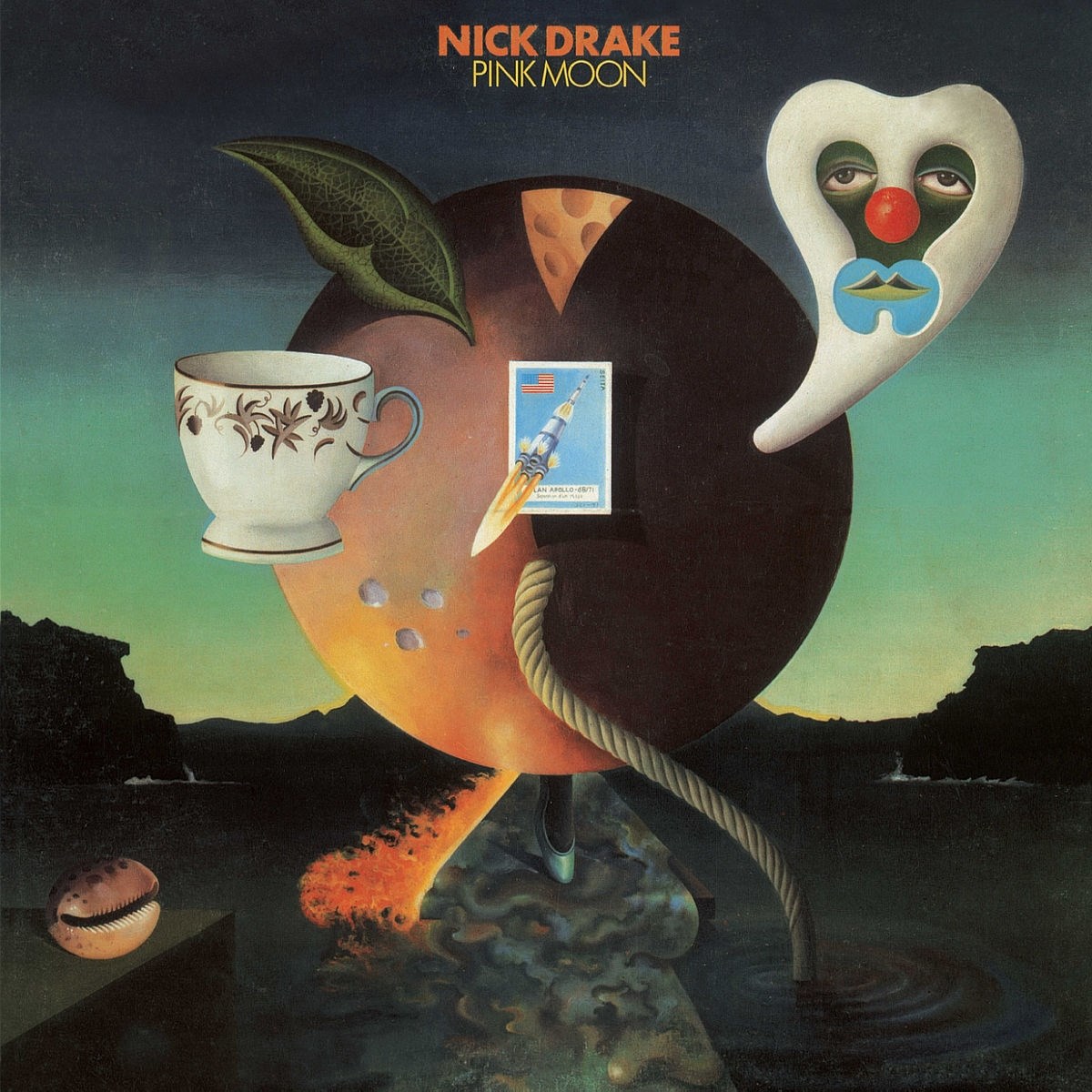 Afbeelding van Nick Drake - Pink Moon