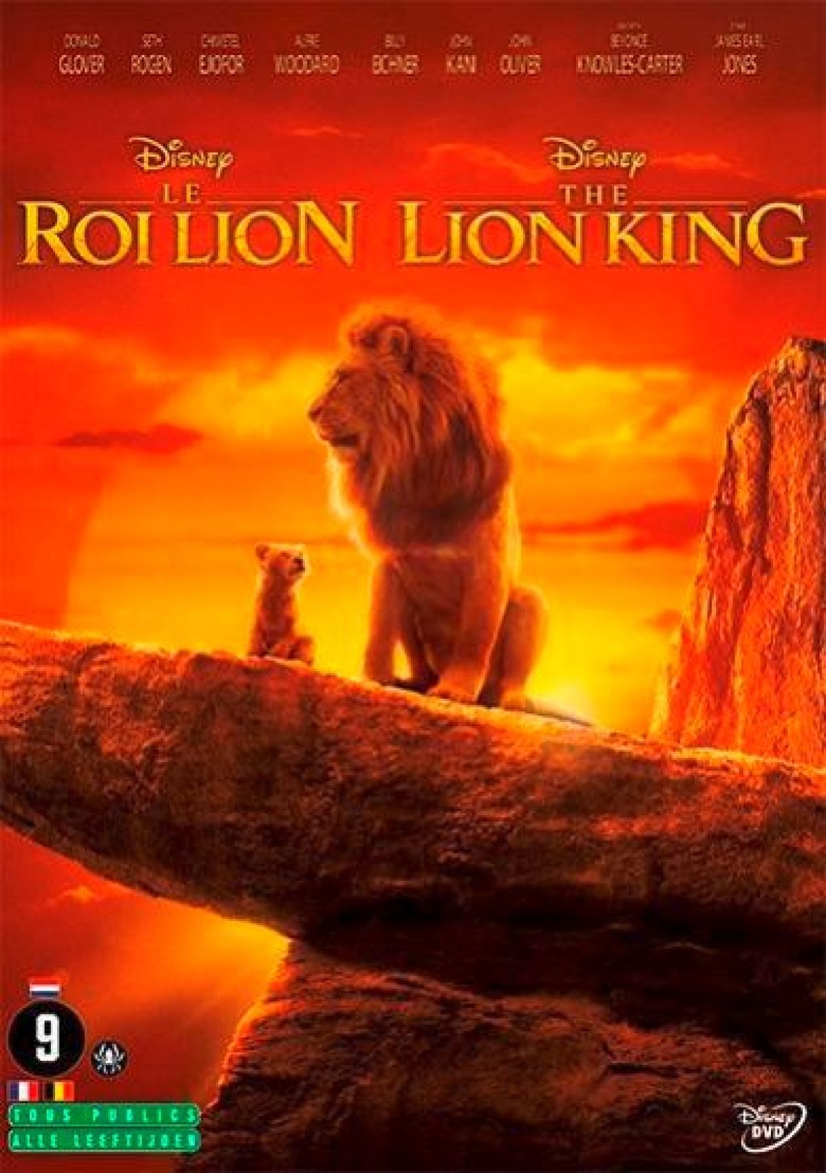 Afbeelding van Lion King 