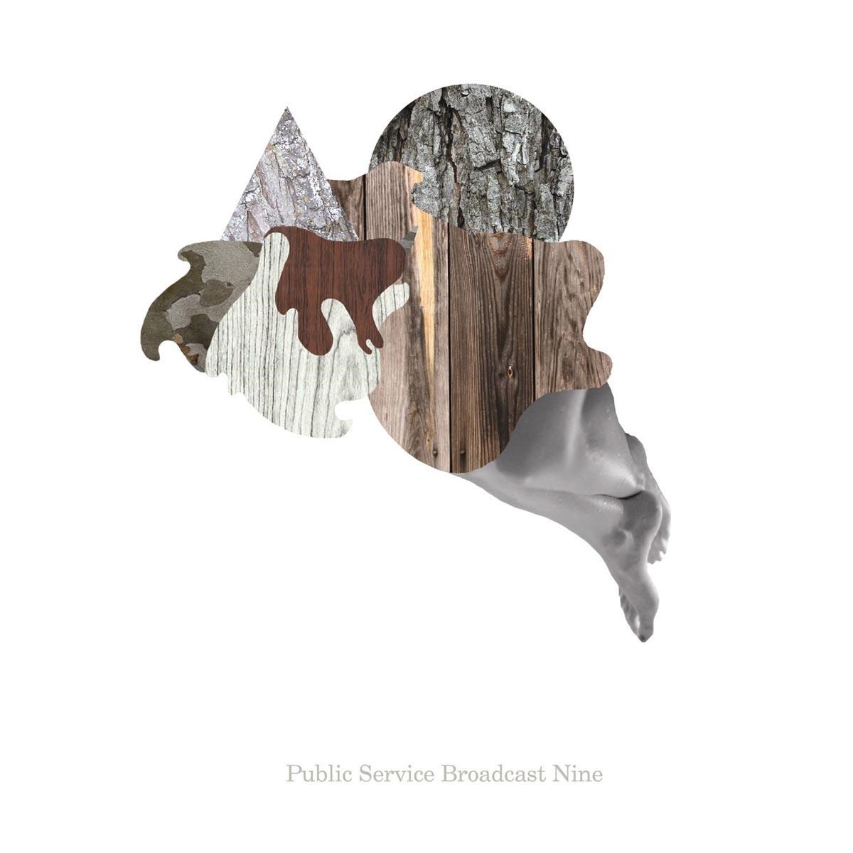 Afbeelding van Various Artists - Public Service Broadcast Nine