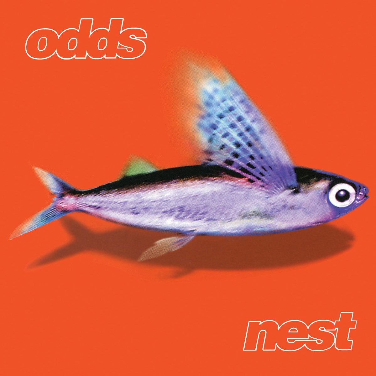 Afbeelding van Odds - Nest