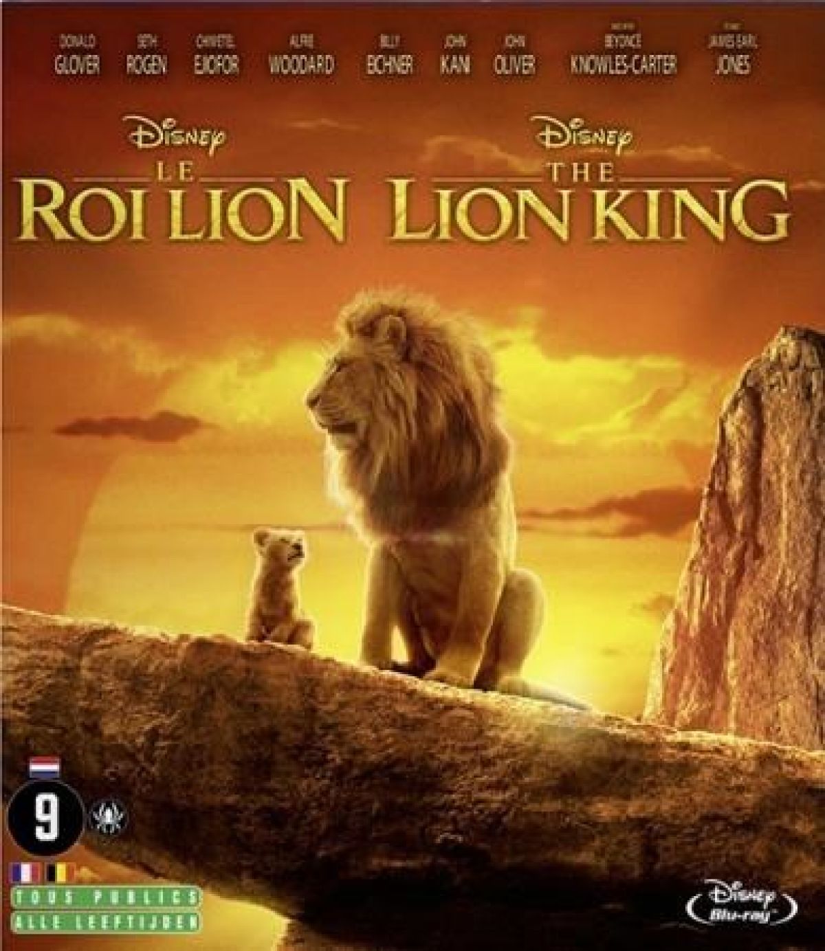Afbeelding van Lion King 