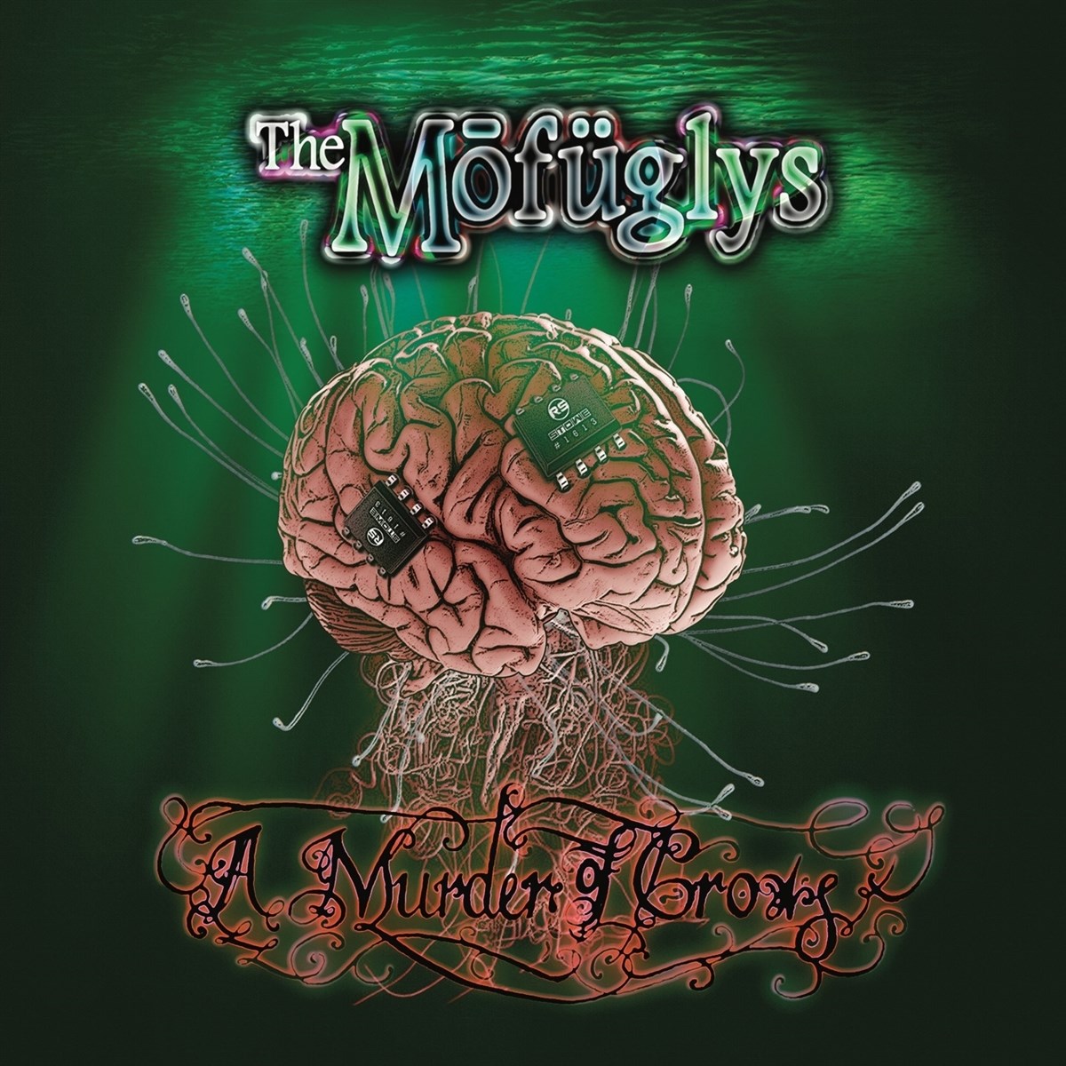 The Mofuglys - A Murder Of Crows