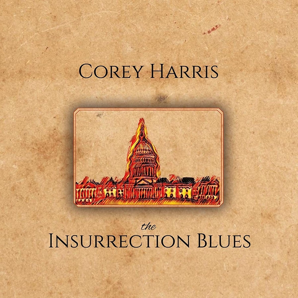 Afbeelding van Corey Harris - The Insurrection Blues