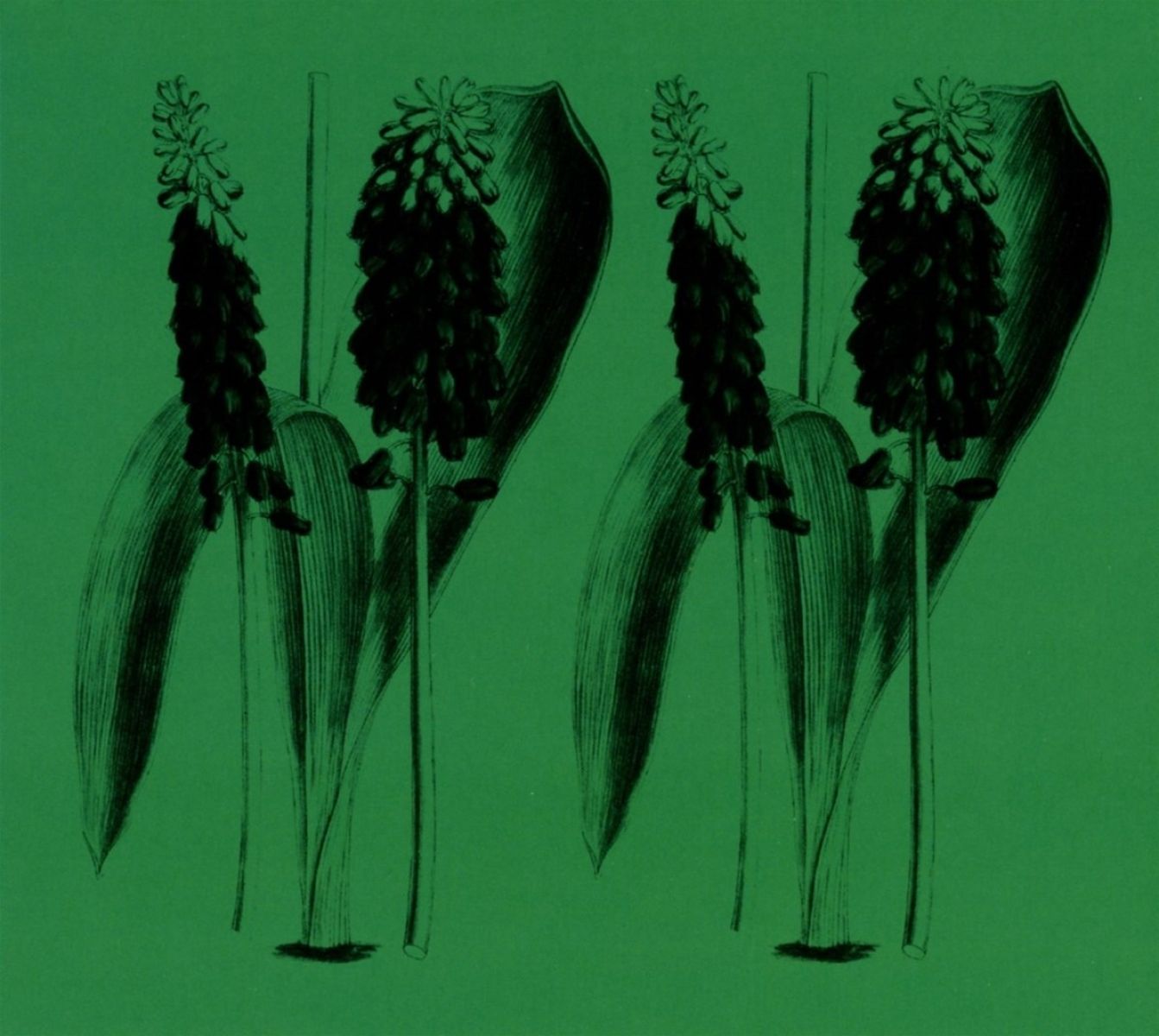 Afbeelding van Mark Barrott - Nature Sounds Of The Balearics