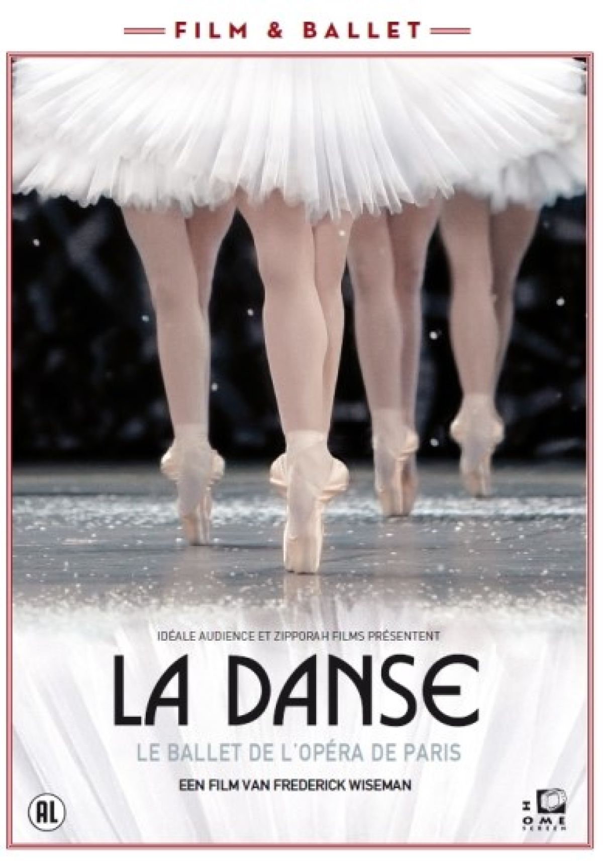 Afbeelding van La danse - Le ballet de l'opera de Paris