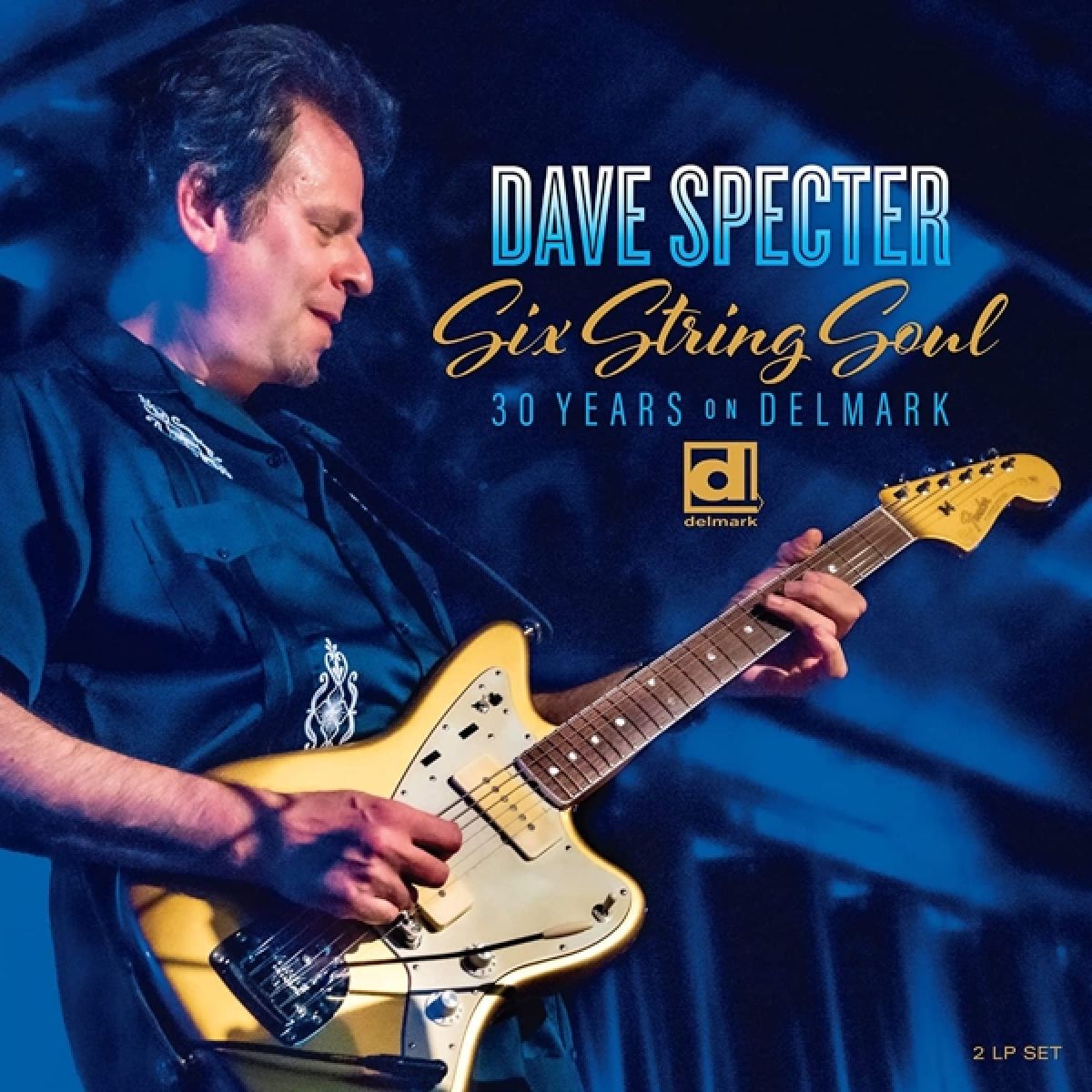 Afbeelding van Dave Specter - Six String Soul. 30 Years On Delmark