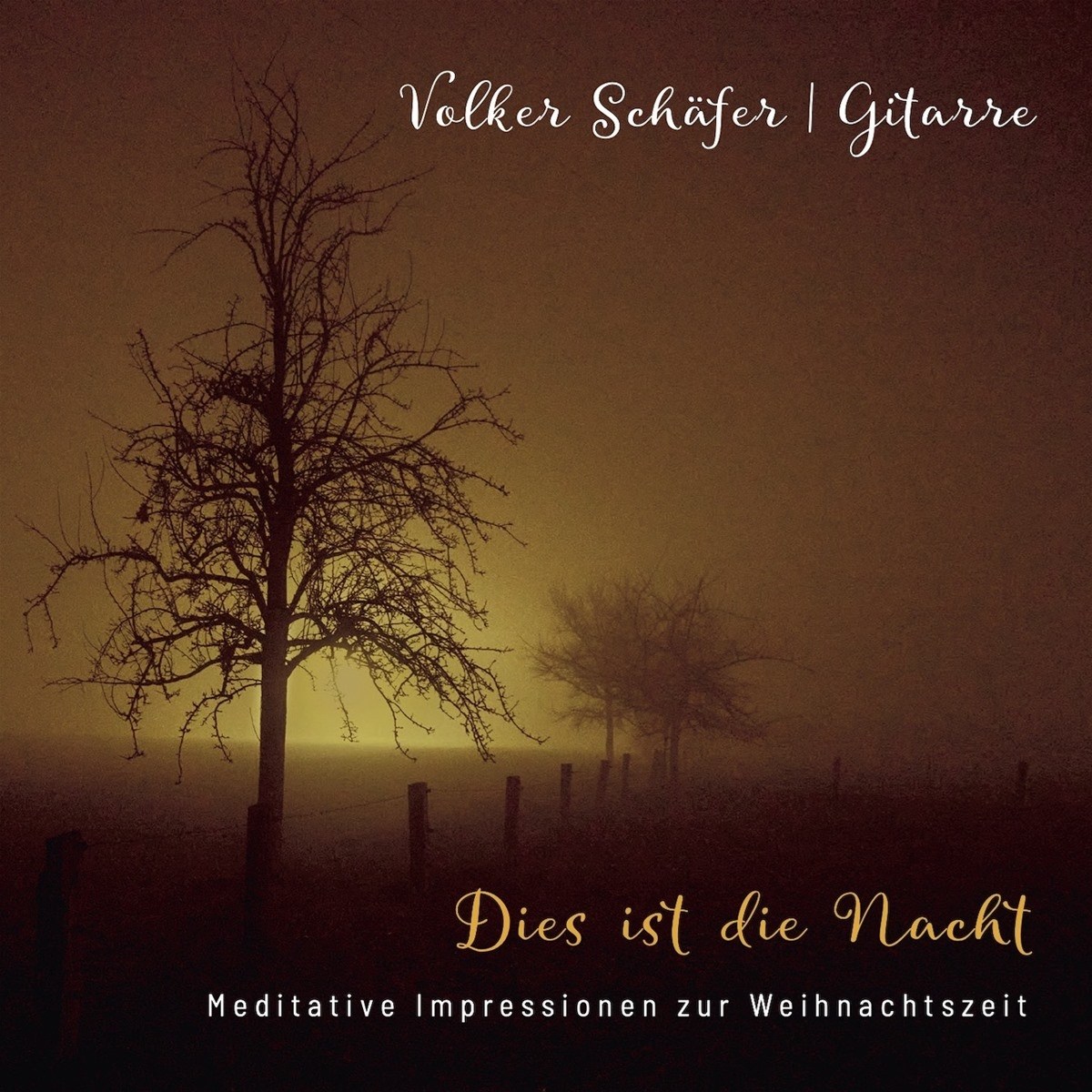 Afbeelding van Volker Schaefer - Dies Ist Die Nacht