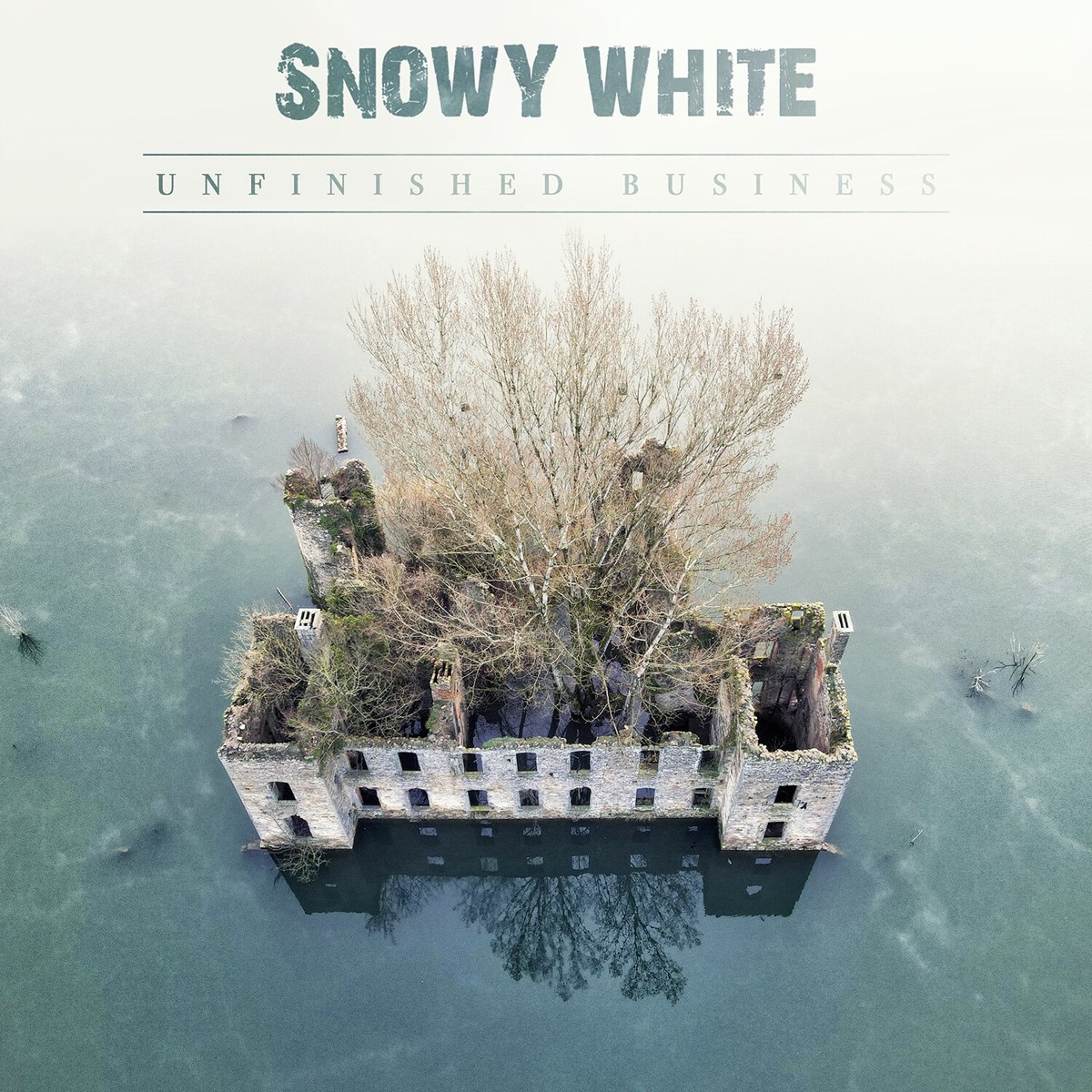 Afbeelding van Snowy White - Unfinished Business