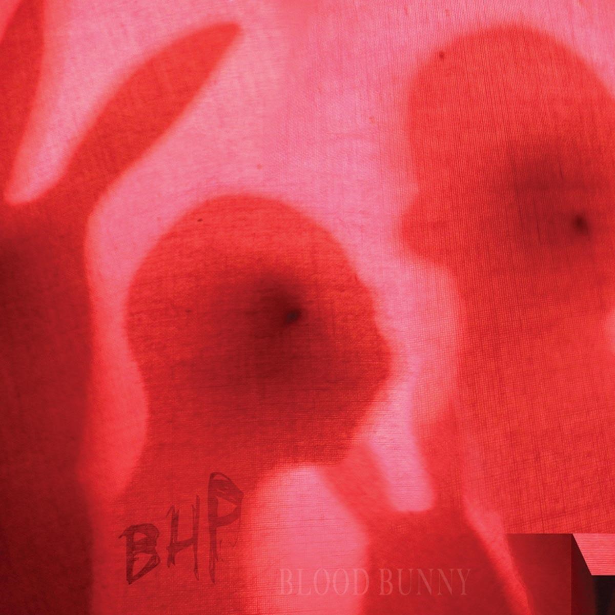 Afbeelding van The Black Heart Procession - Blood Bunny / Black Rabbit