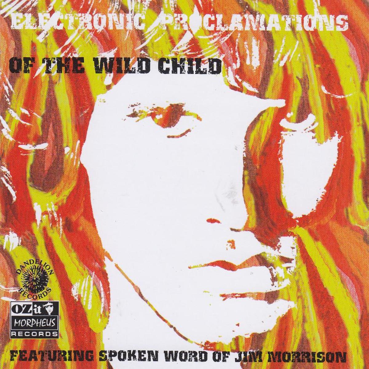 Afbeelding van Various Artists - Electronic Proclamations Of The Wild Child