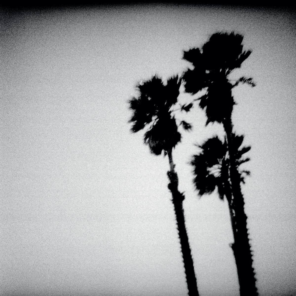 Afbeelding van The Twilight Singers - Blackberry Belle