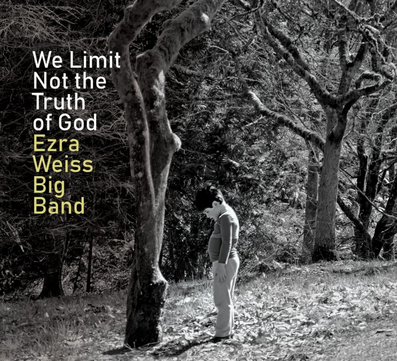 Afbeelding van We Limit Not The Truth Of God