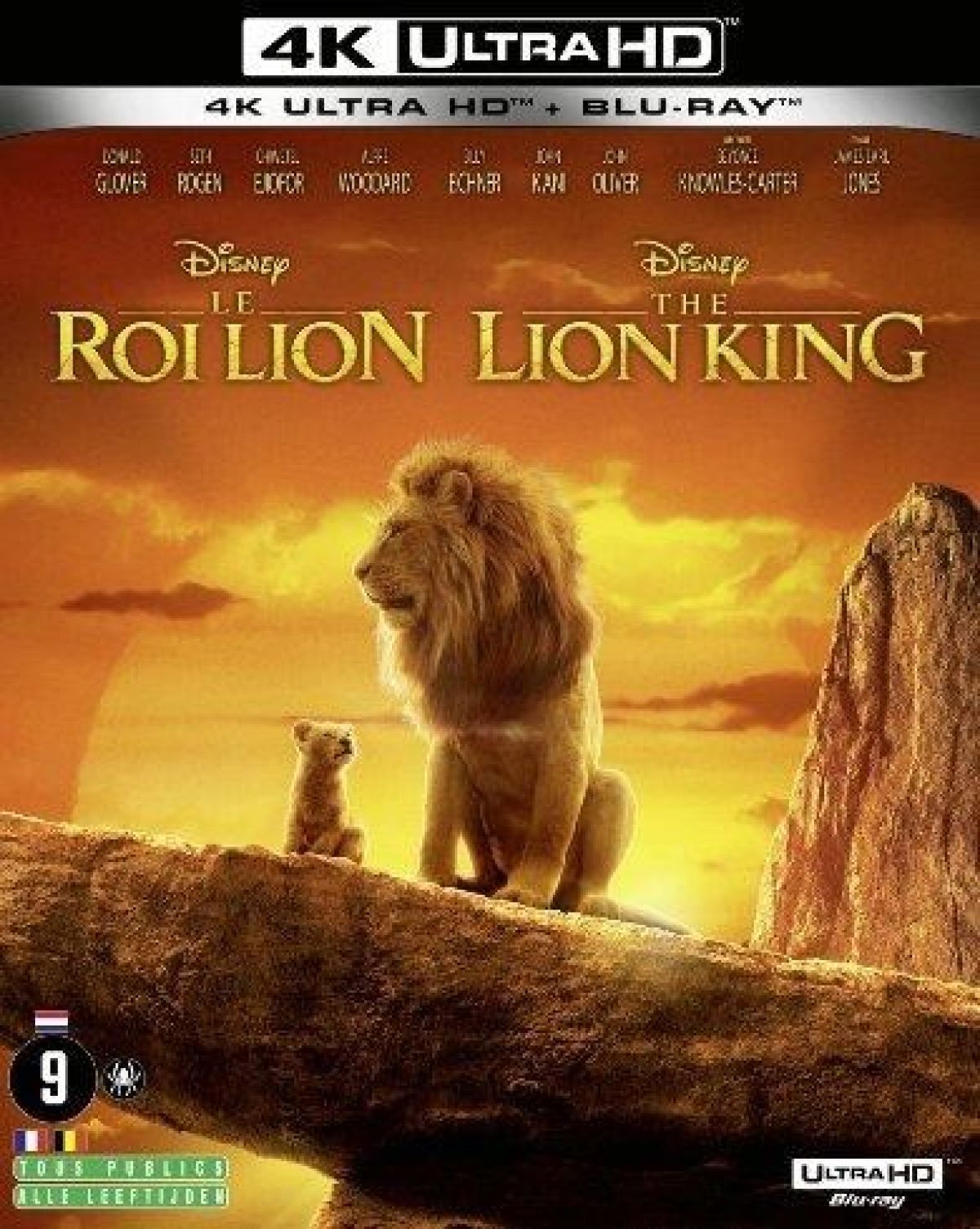 Afbeelding van The Lion King