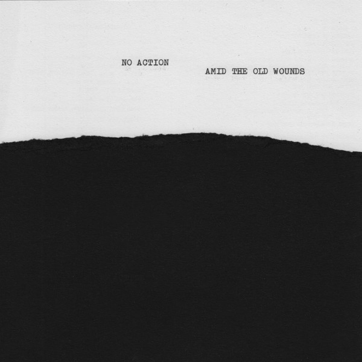 No Action & Amid The Old Wounds - Split