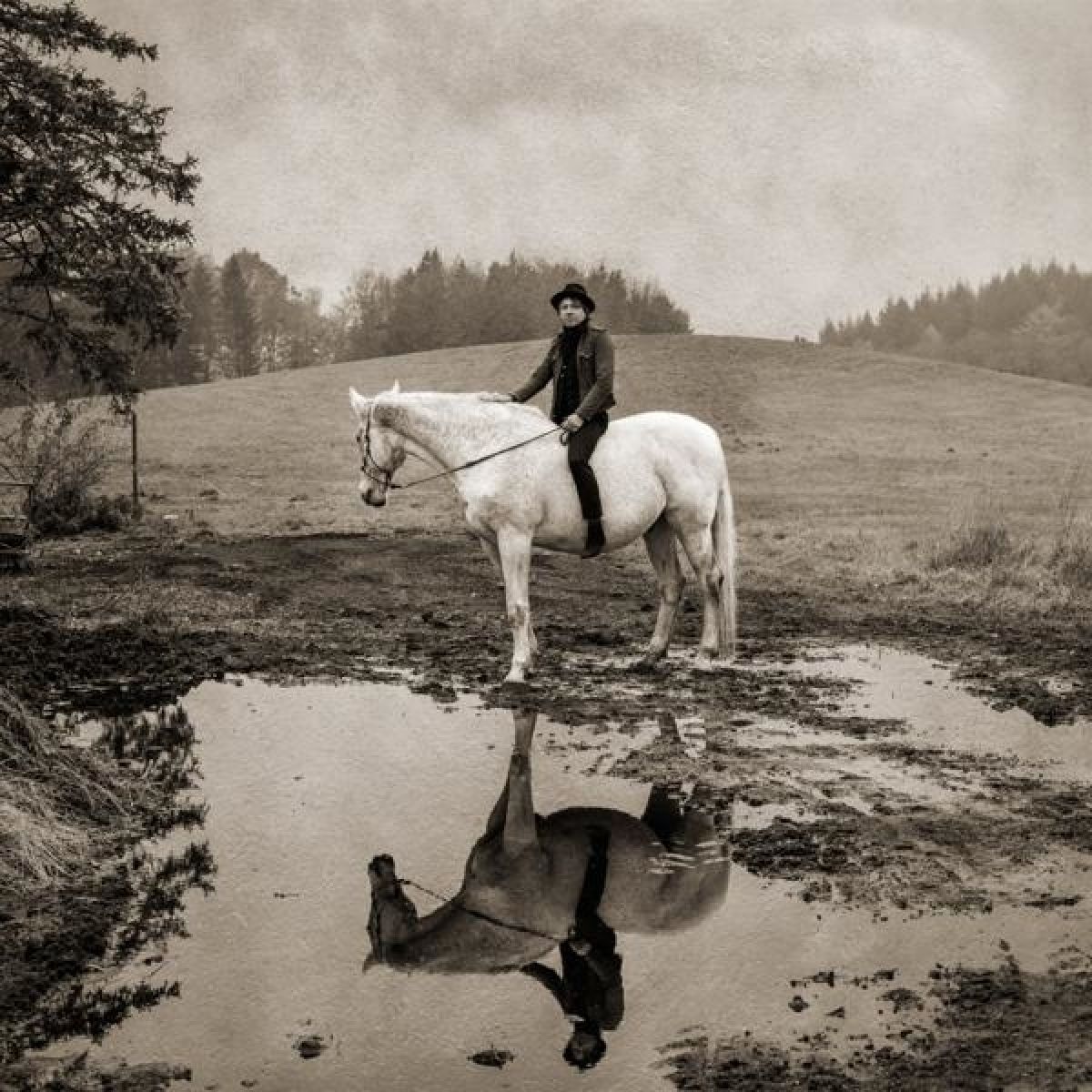 Michael Moravek - November