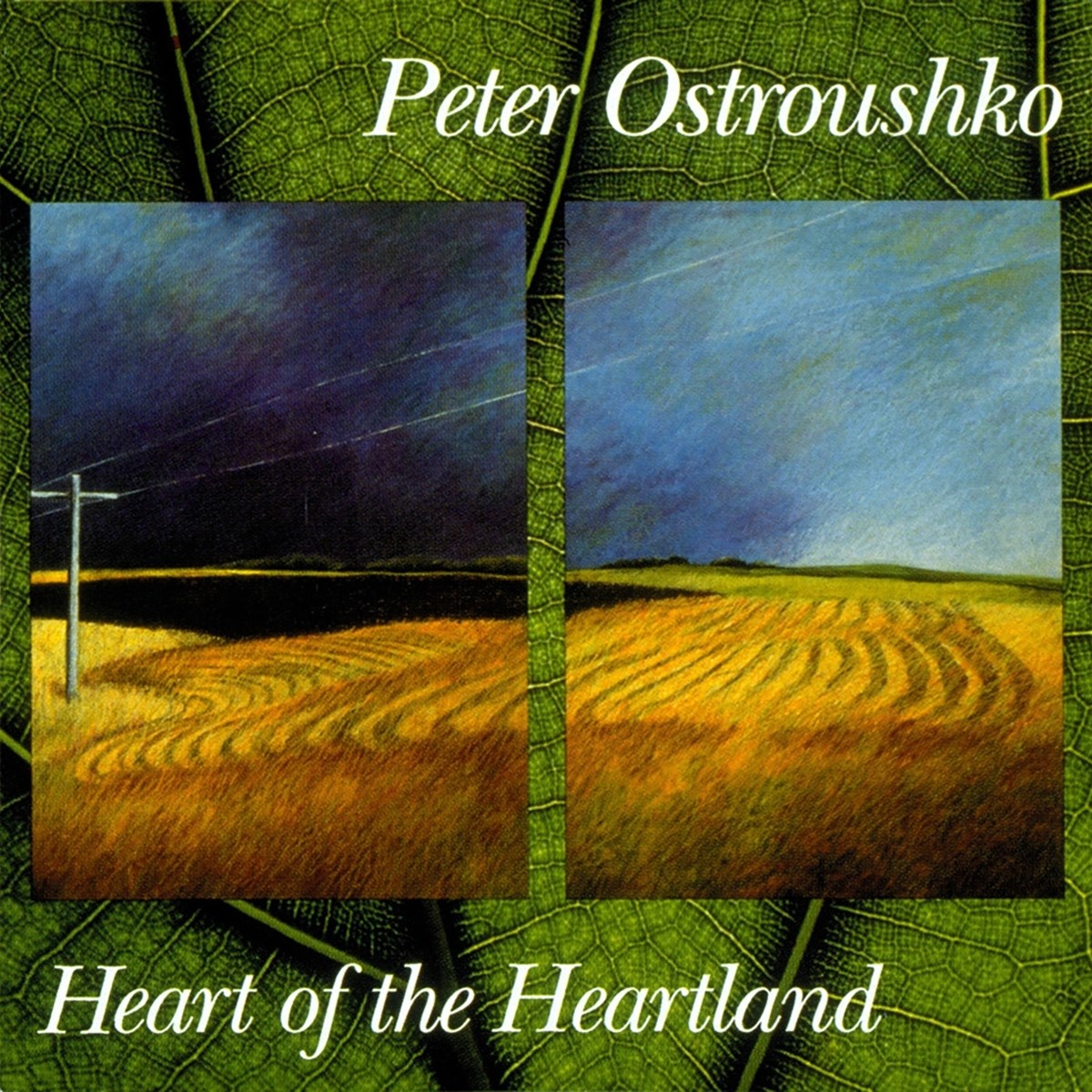 Afbeelding van Peter Ostroushko - Heart Of The Heartland