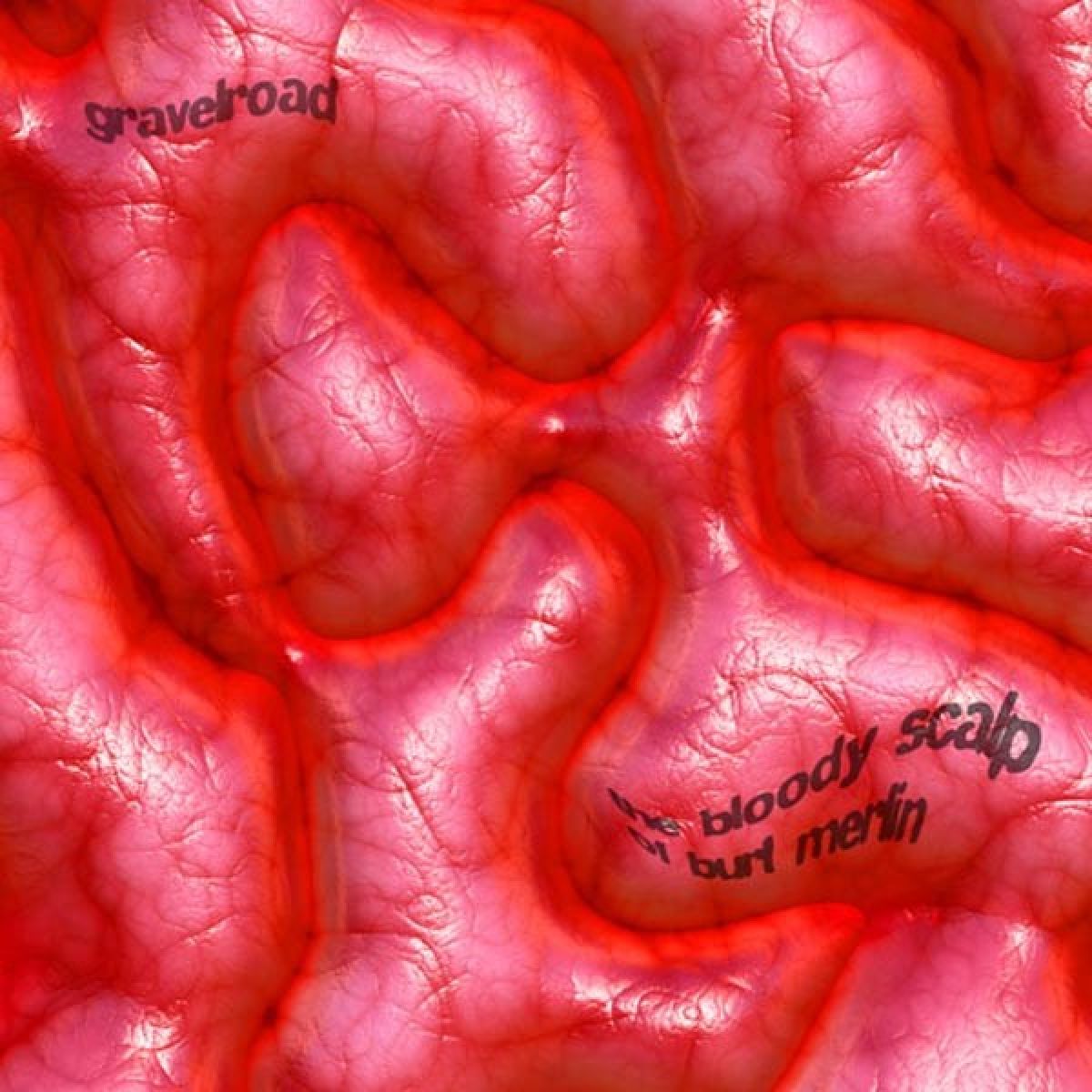 Afbeelding van The Bloody Scalp Of Burt Merlin