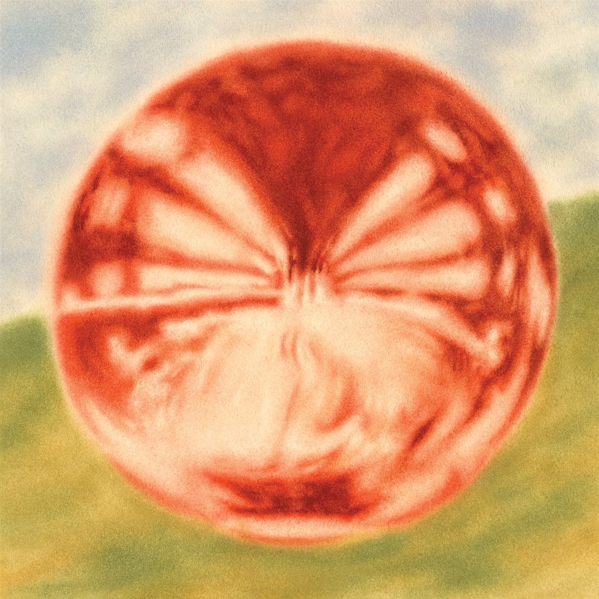 Afbeelding van Bloomsday - Heart Of The Artichoke