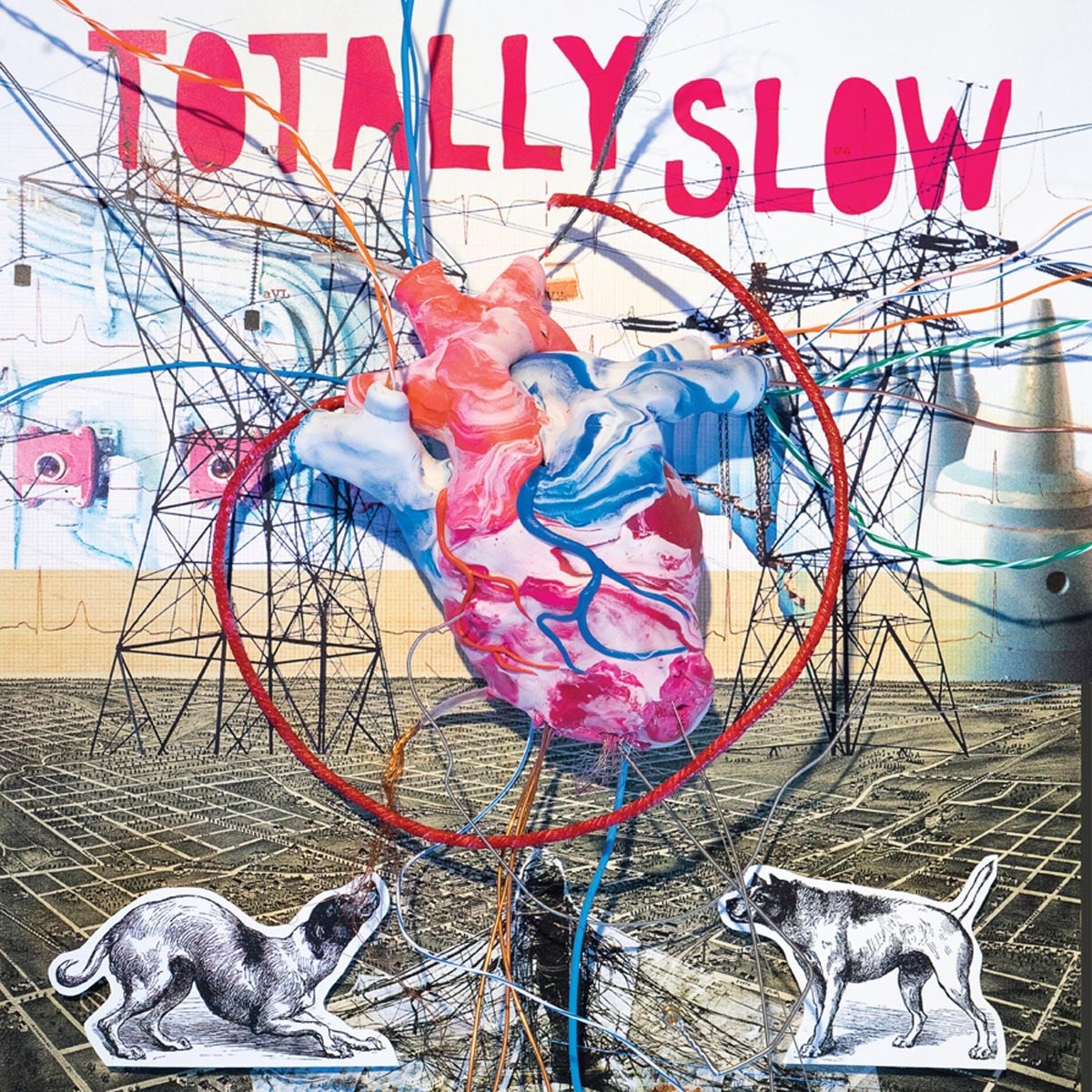 Afbeelding van Totally Slow - Bleed Out