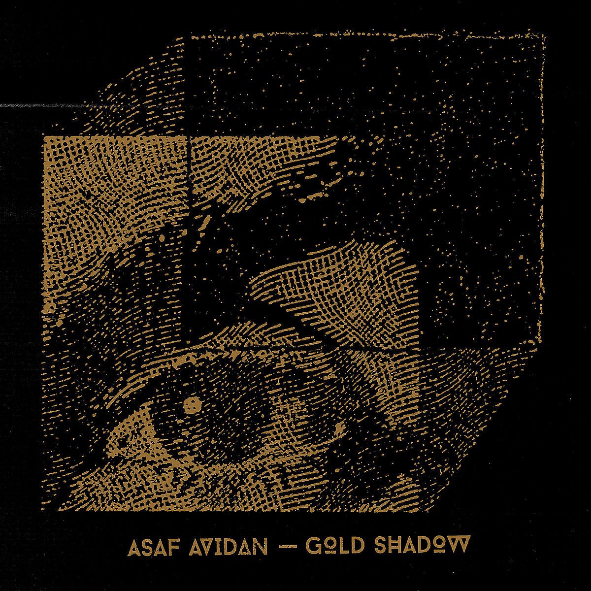 Afbeelding van Asaf Avidan - Gold Shadow