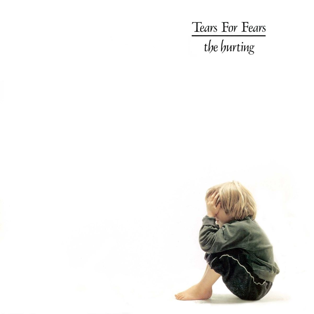 Afbeelding van Tears For Fears - The Hurting