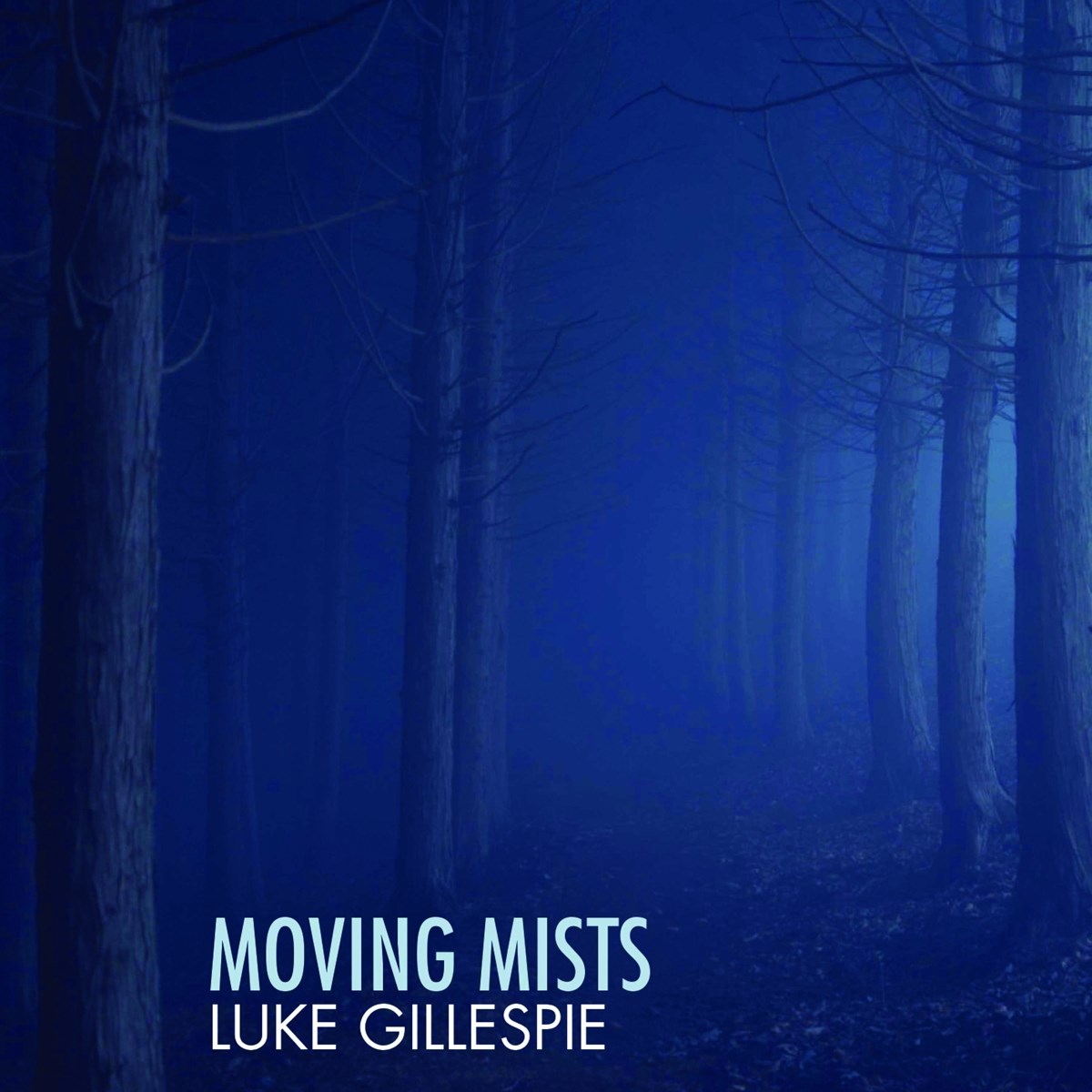 Afbeelding van Luke Gillespie - Moving Mists