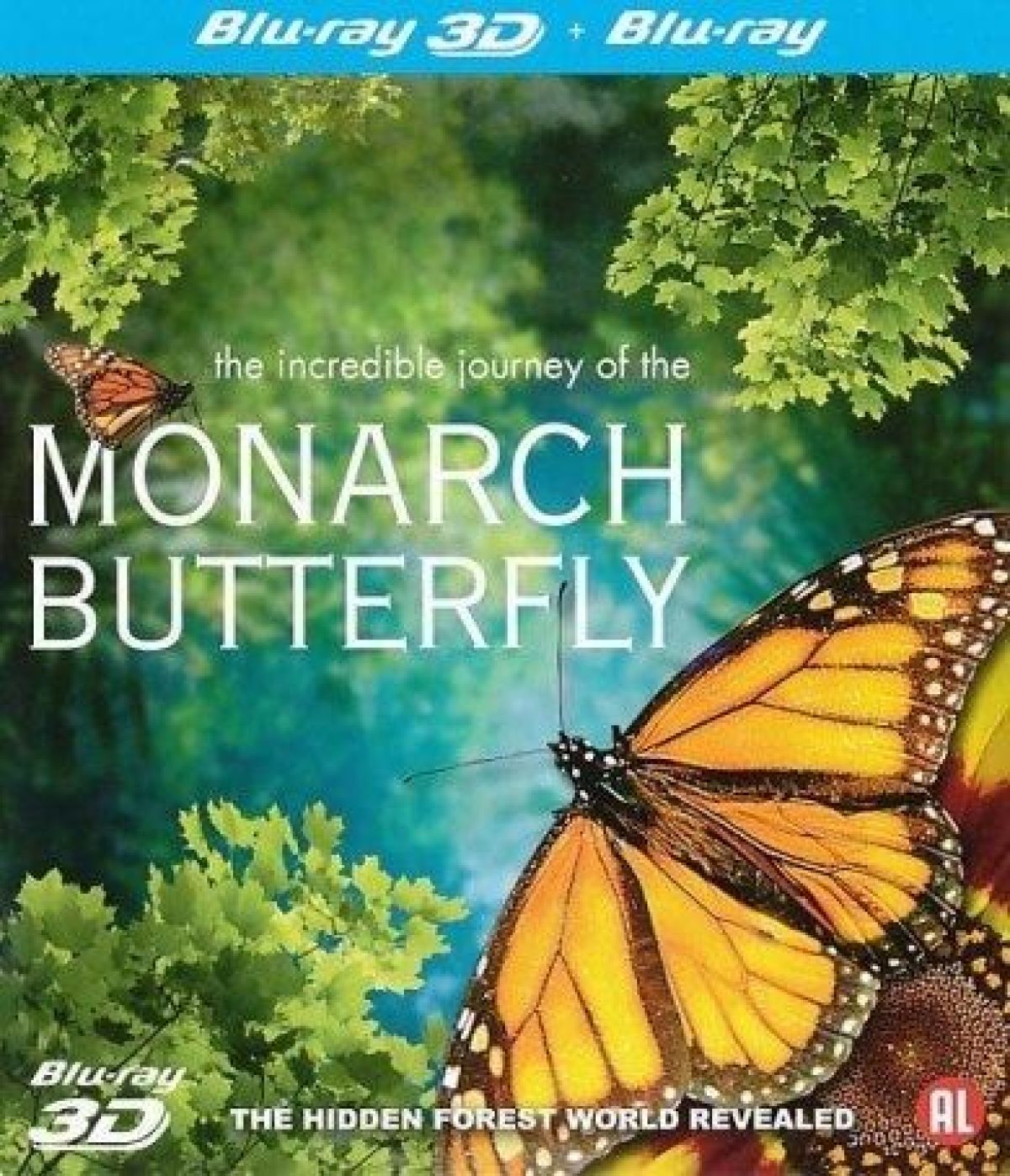 Monarch Butterfly 