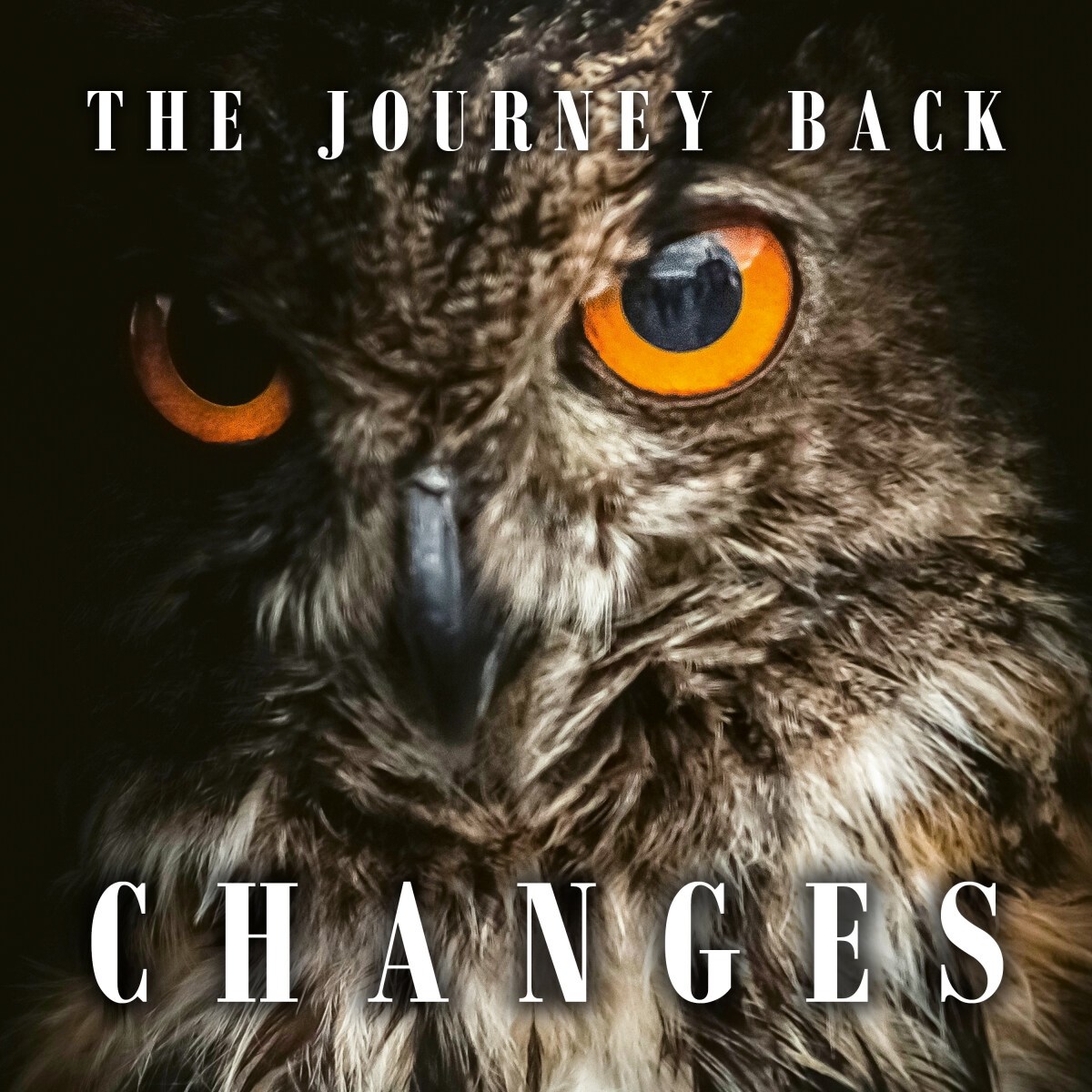 Afbeelding van Journey Back - Changes