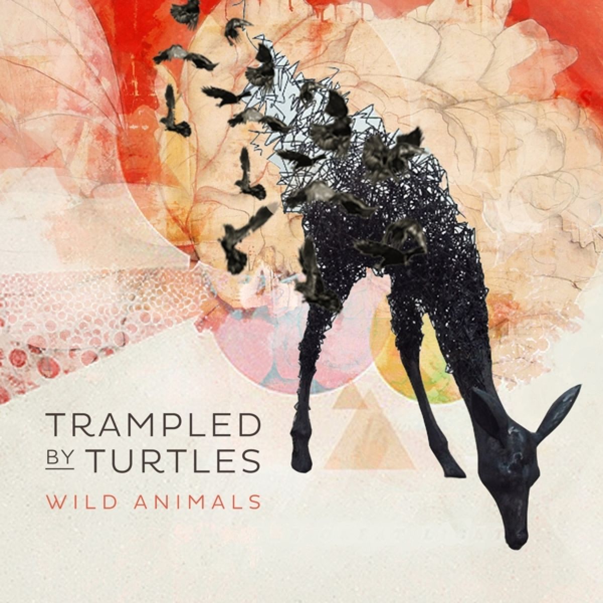 Afbeelding van Trampled By Turtles - Wild Animals