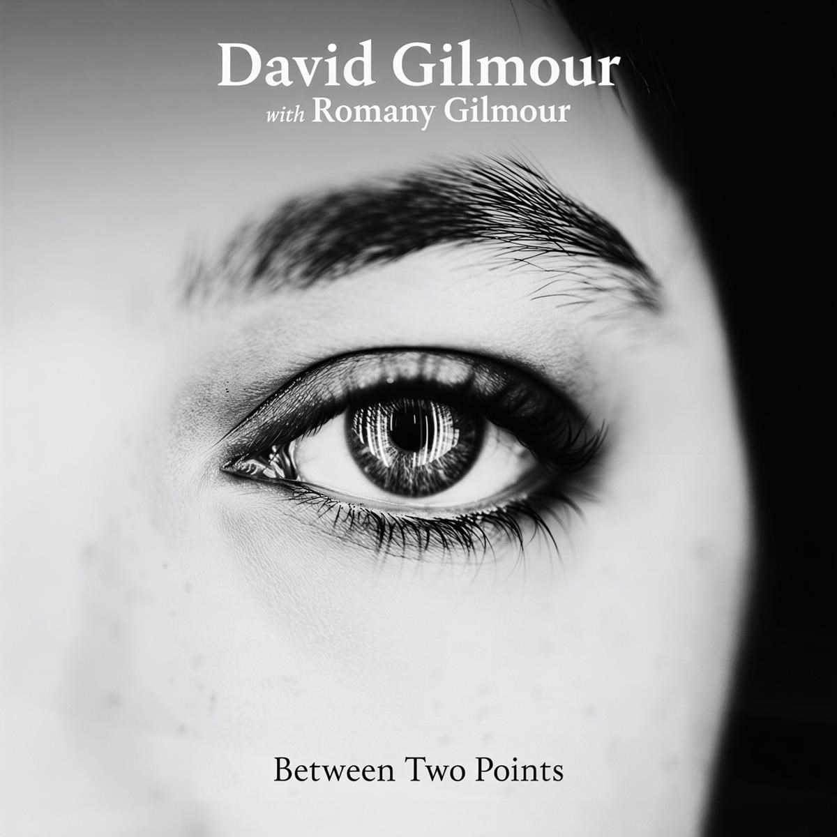 Afbeelding van David Gilmour With Romany Gilmour - Between Two Points