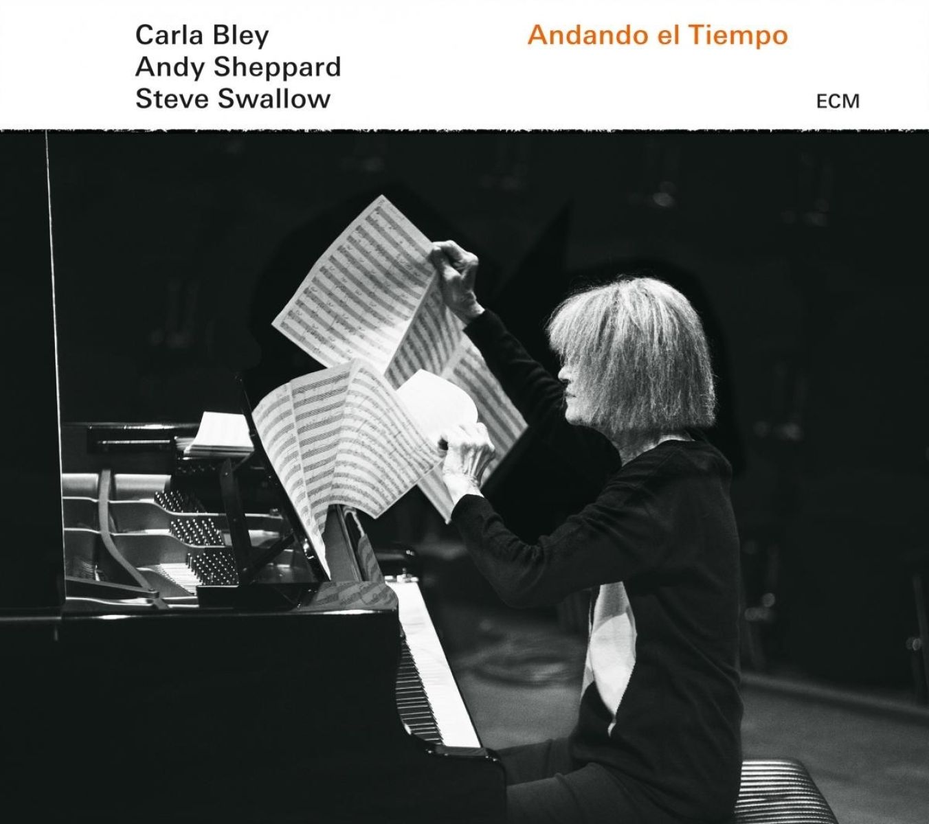 Afbeelding van Carla Bley, Andy Sheppard, Steve Swallow - Andando El Tiempo