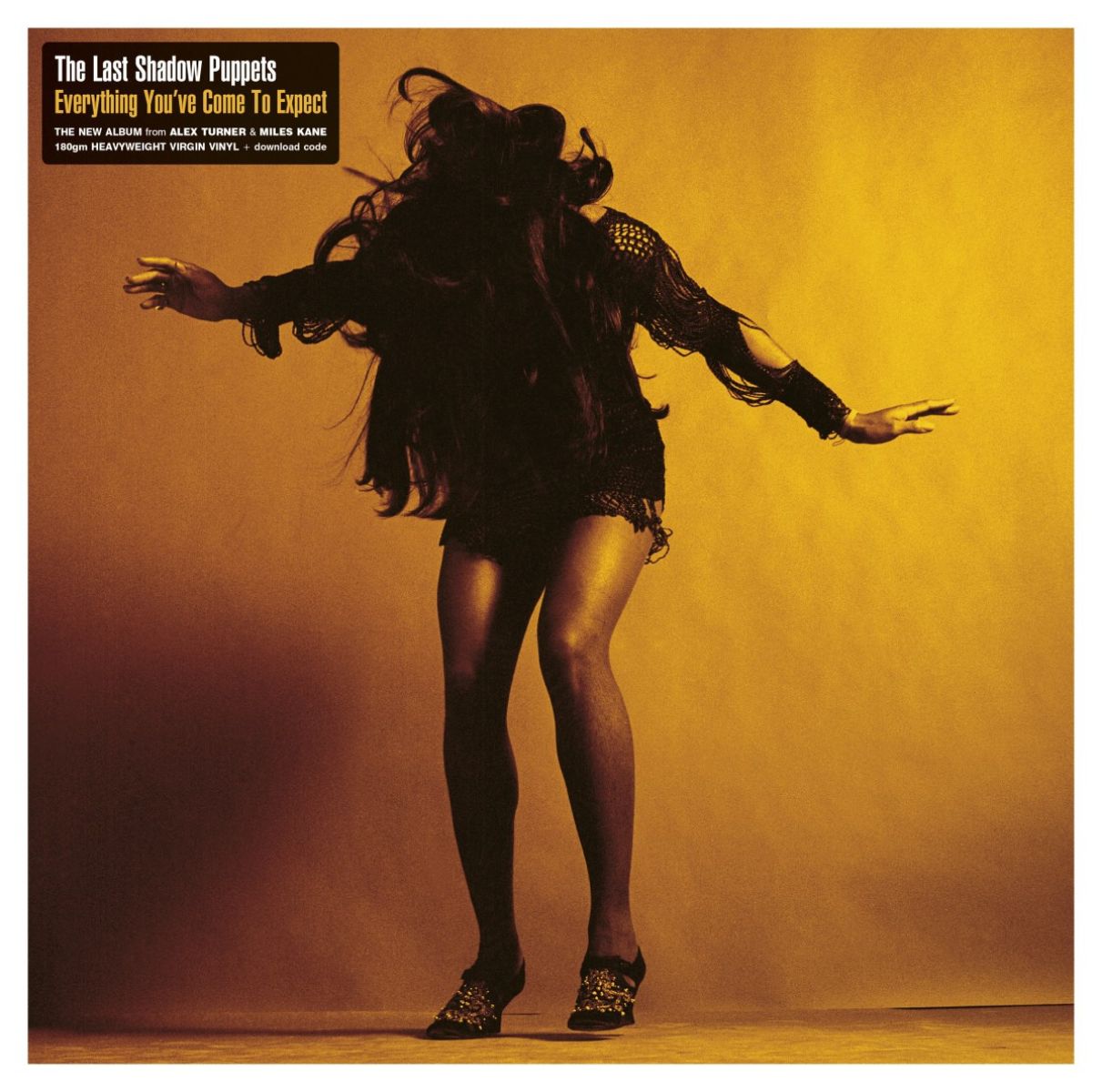 Afbeelding van Last Shadow Puppets - Everything You've Come To Expect