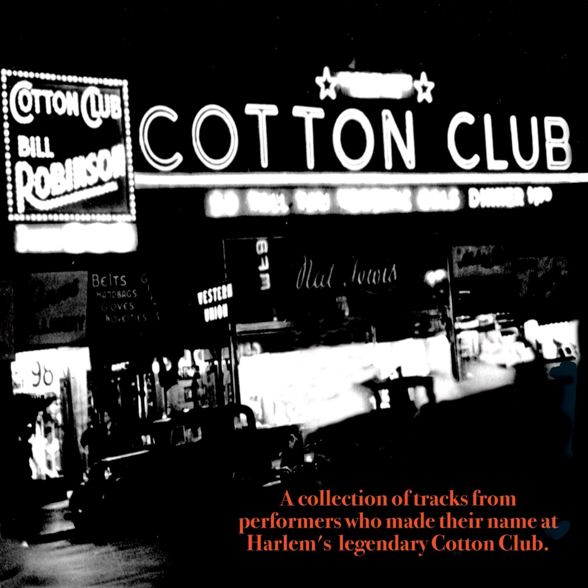 Afbeelding van Various Artists - The Cotton Club