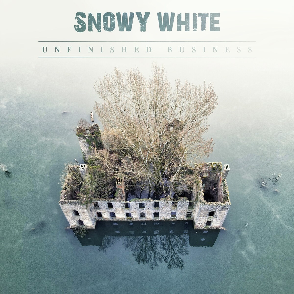 Afbeelding van Snowy White - Unfinished Business