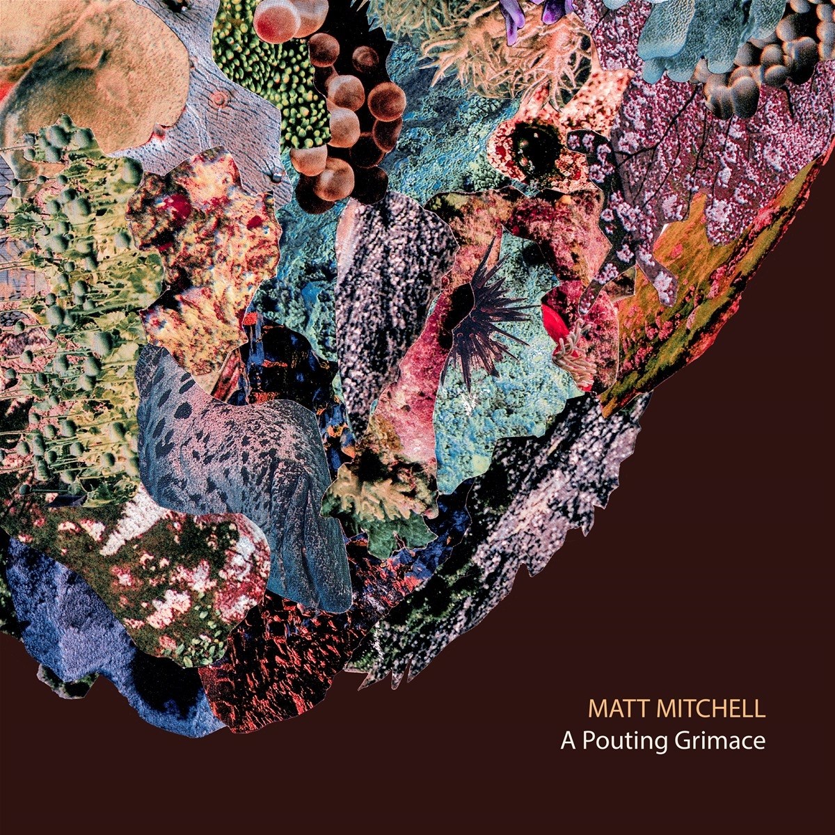 Afbeelding van Matt Mitchell - A Pouting Grimace