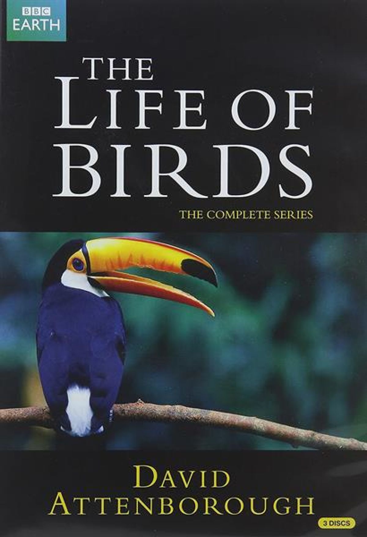 Life Of Birds