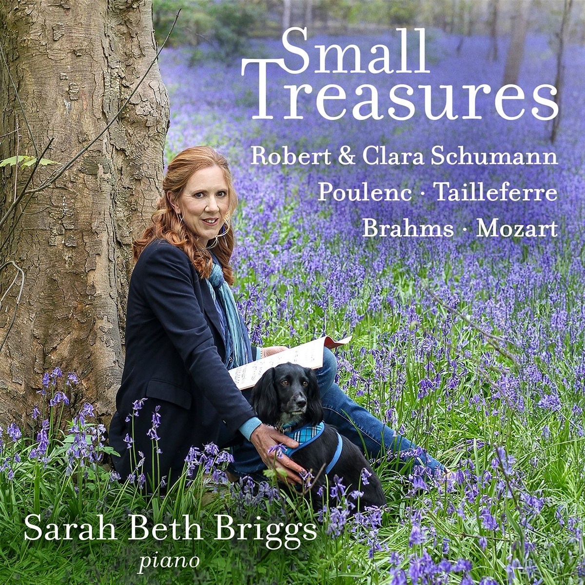Afbeelding van Sarah Beth Briggs - Small Treasures
