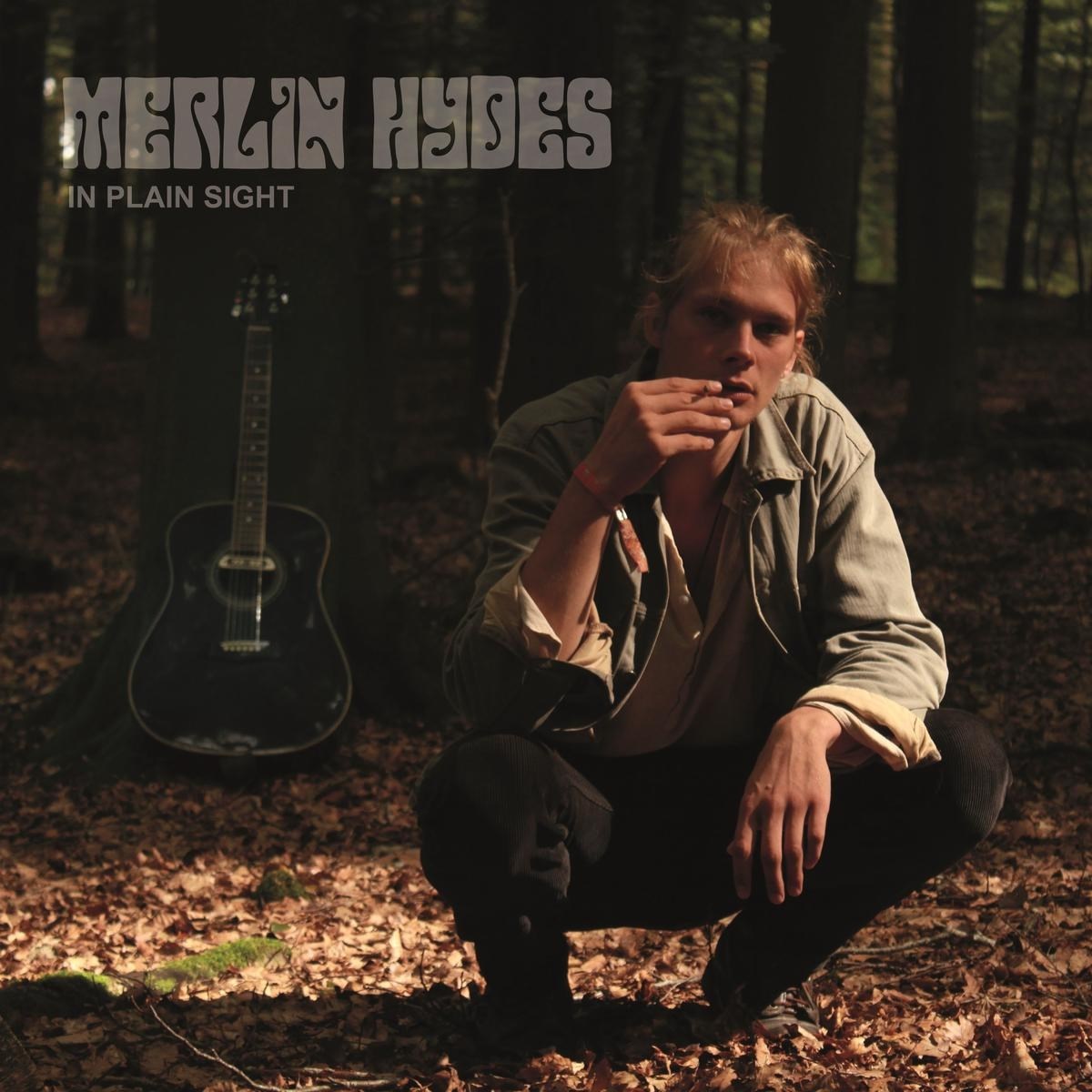 Afbeelding van Merlin Hydes - In Plain Sight