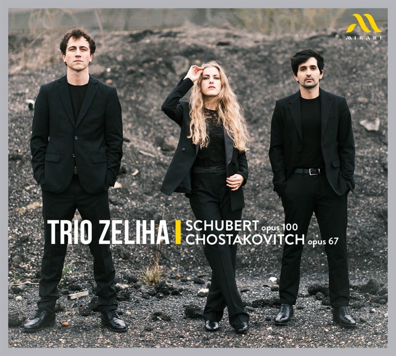 Trio Zeliha - Schubert Op. 100 / Chostakovitch