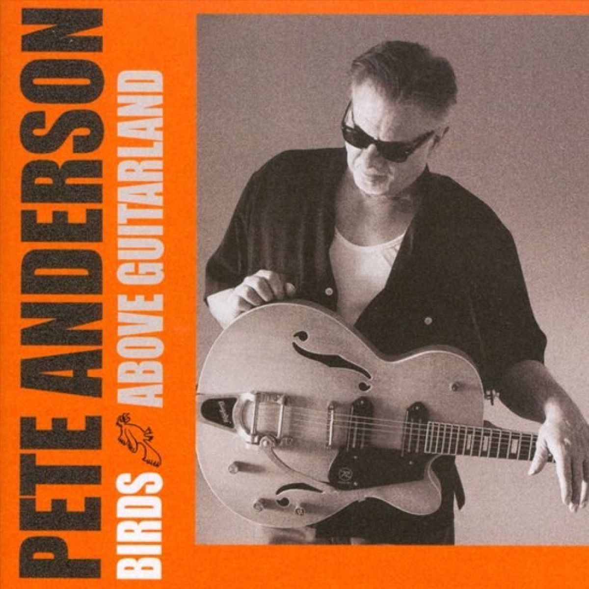 Afbeelding van Pete Anderson - Birds Above Guitarland